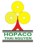 CÔNG TY CỔ PHẦN GIẤY HOÀNG VĂN THỤ